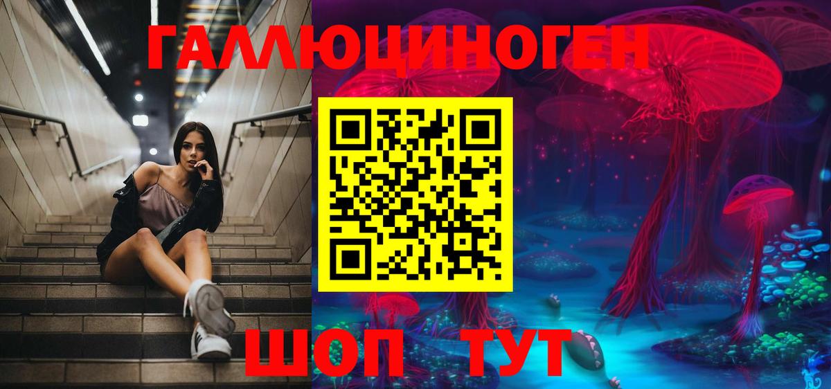 Галлюциногенные грибы GOLDEN TEACHER Хабаровск