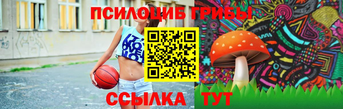 Хабаровск  Галлюциногенные грибы GOLDEN TEACHER  Псилоцибиновые грибы мицелий  Вход с VPN 